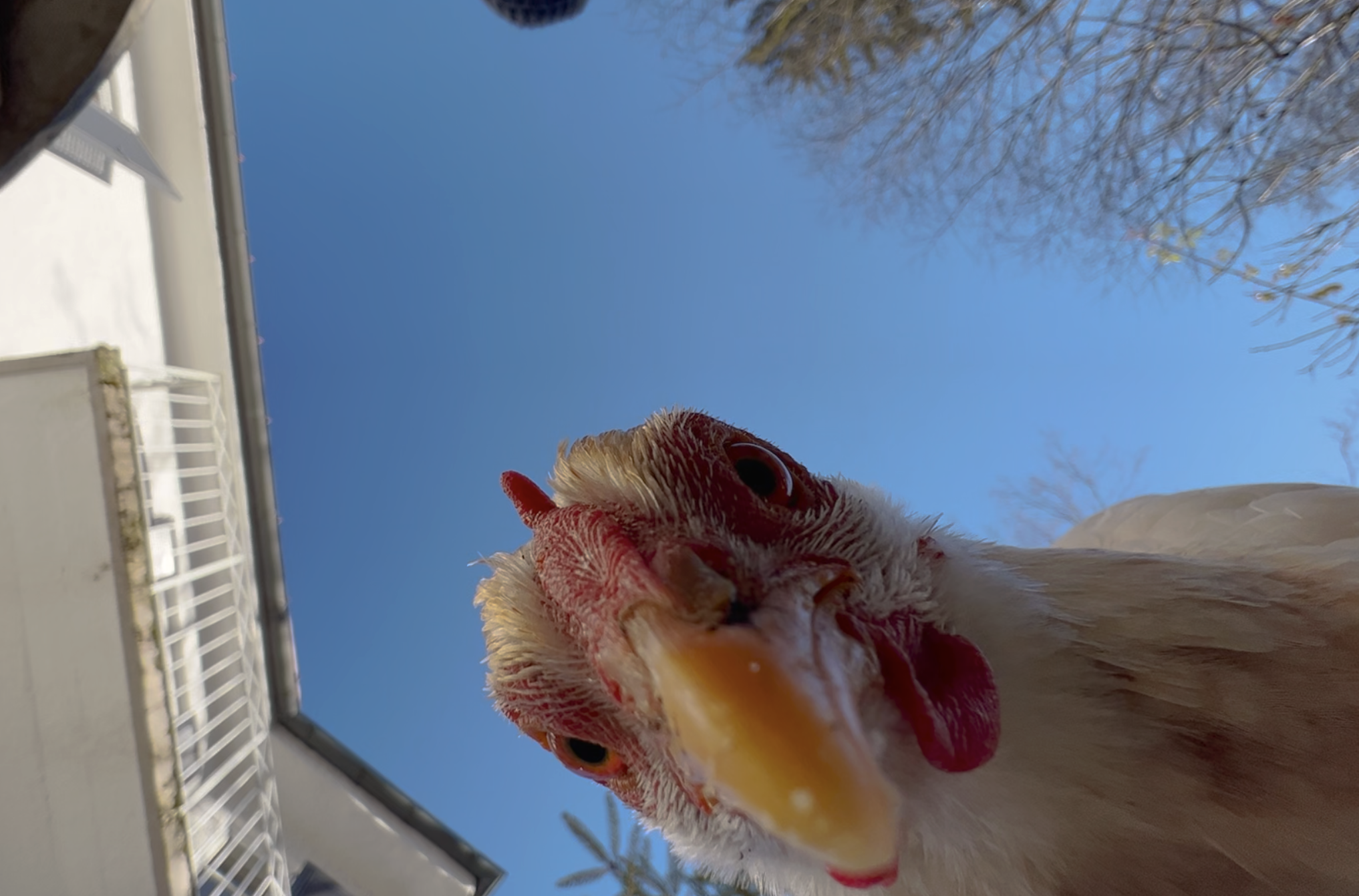 Meine Mama mag meine Kunst nicht.